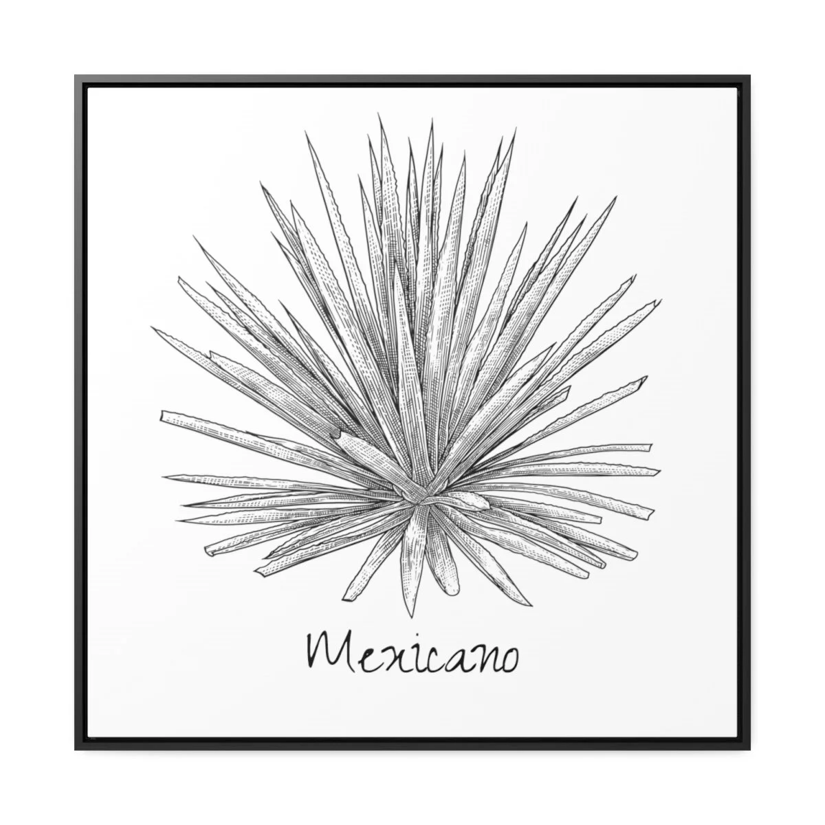 50a9d7b1d8fbb02c94e1f179824e1902