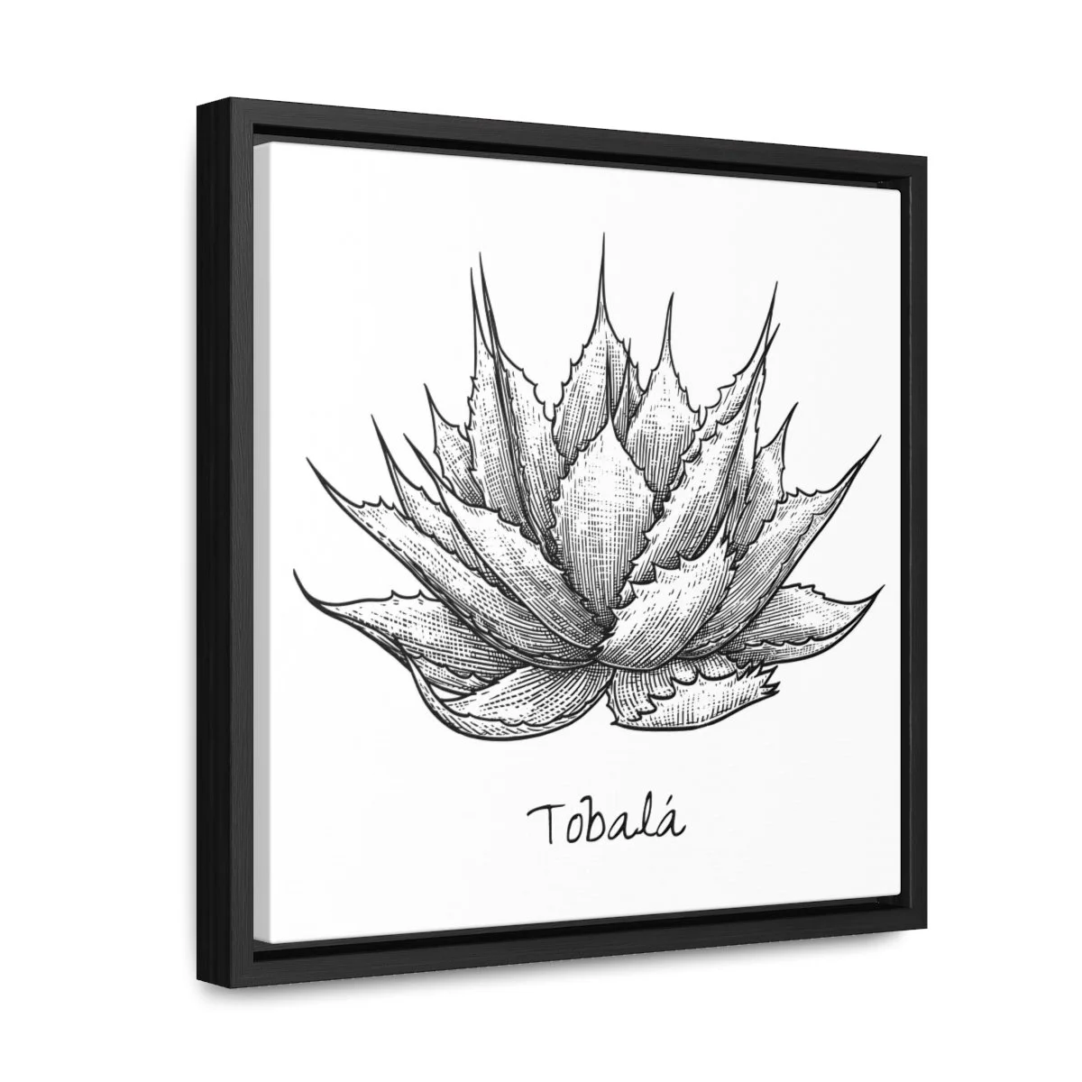 e09cc119b75ac9ed1d3522ea4f3f9ff9