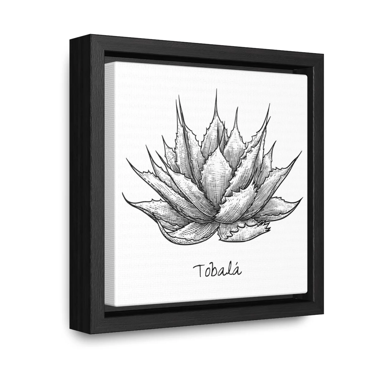 c72b9d4fa87b3c9a97ef0c06544bf33a