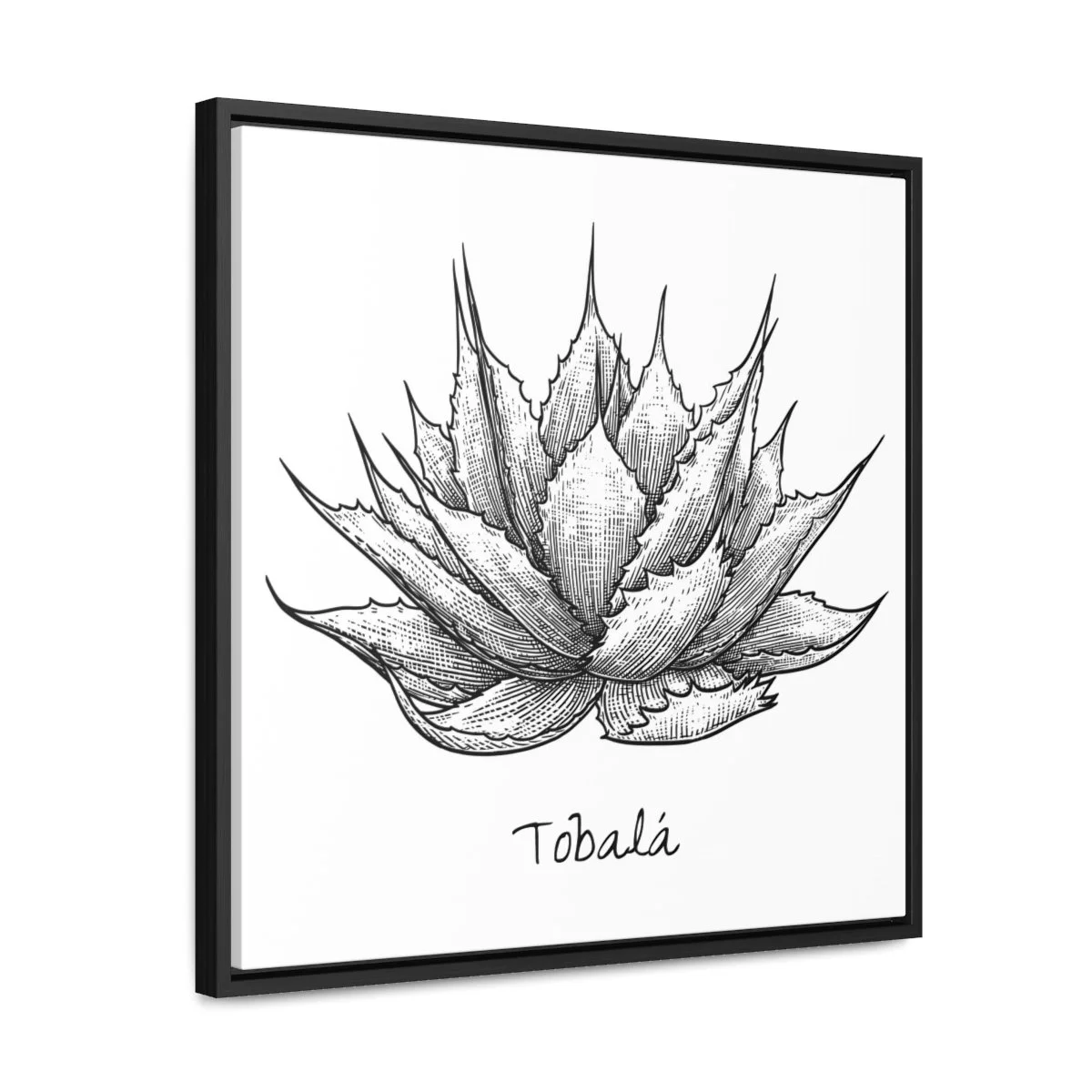 c6977309dc123d563bcc1b360a1ac46c