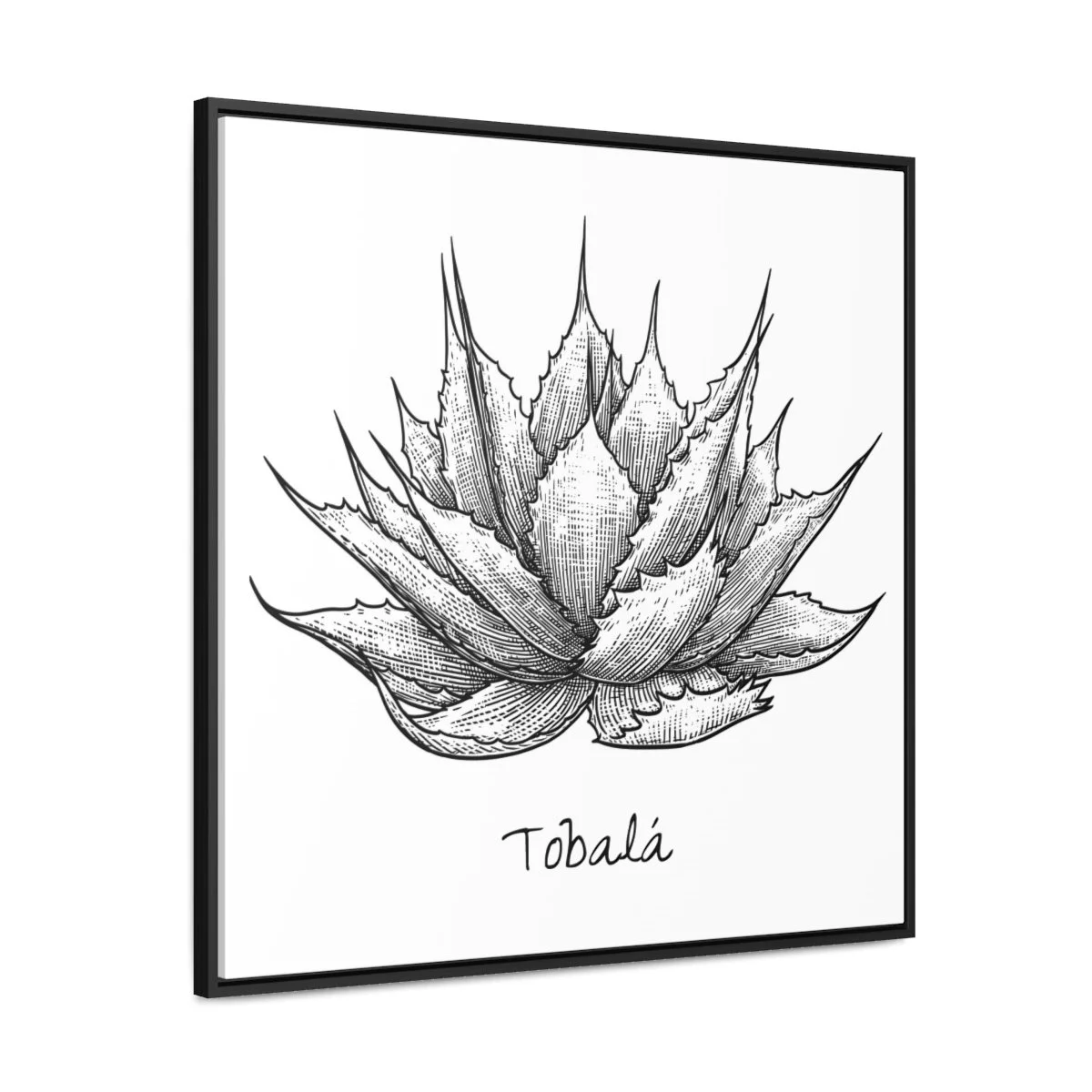 01d846870fd74d4d5f16215cc6d184fe