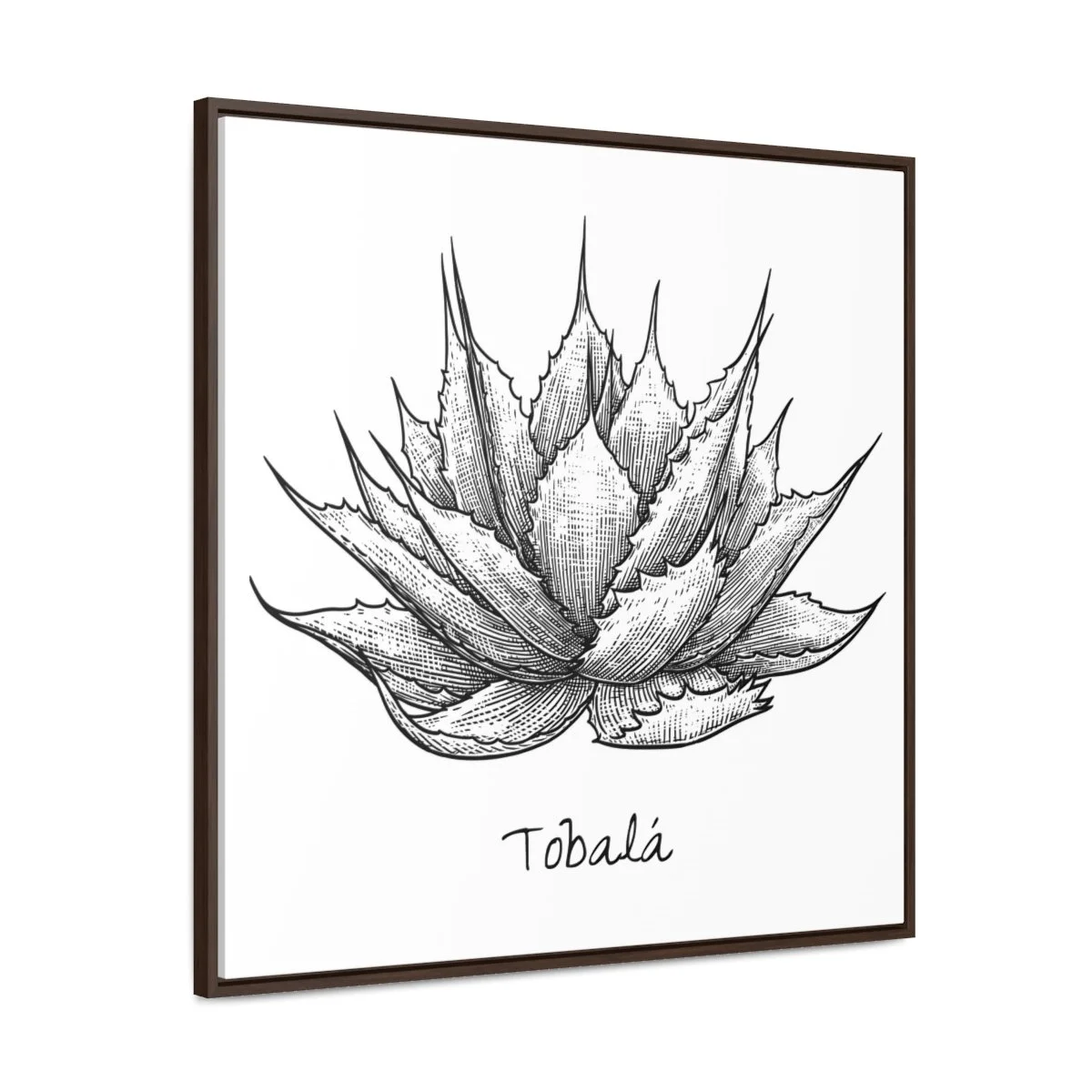 7efb51de6b7aa6c555411730f560a16e