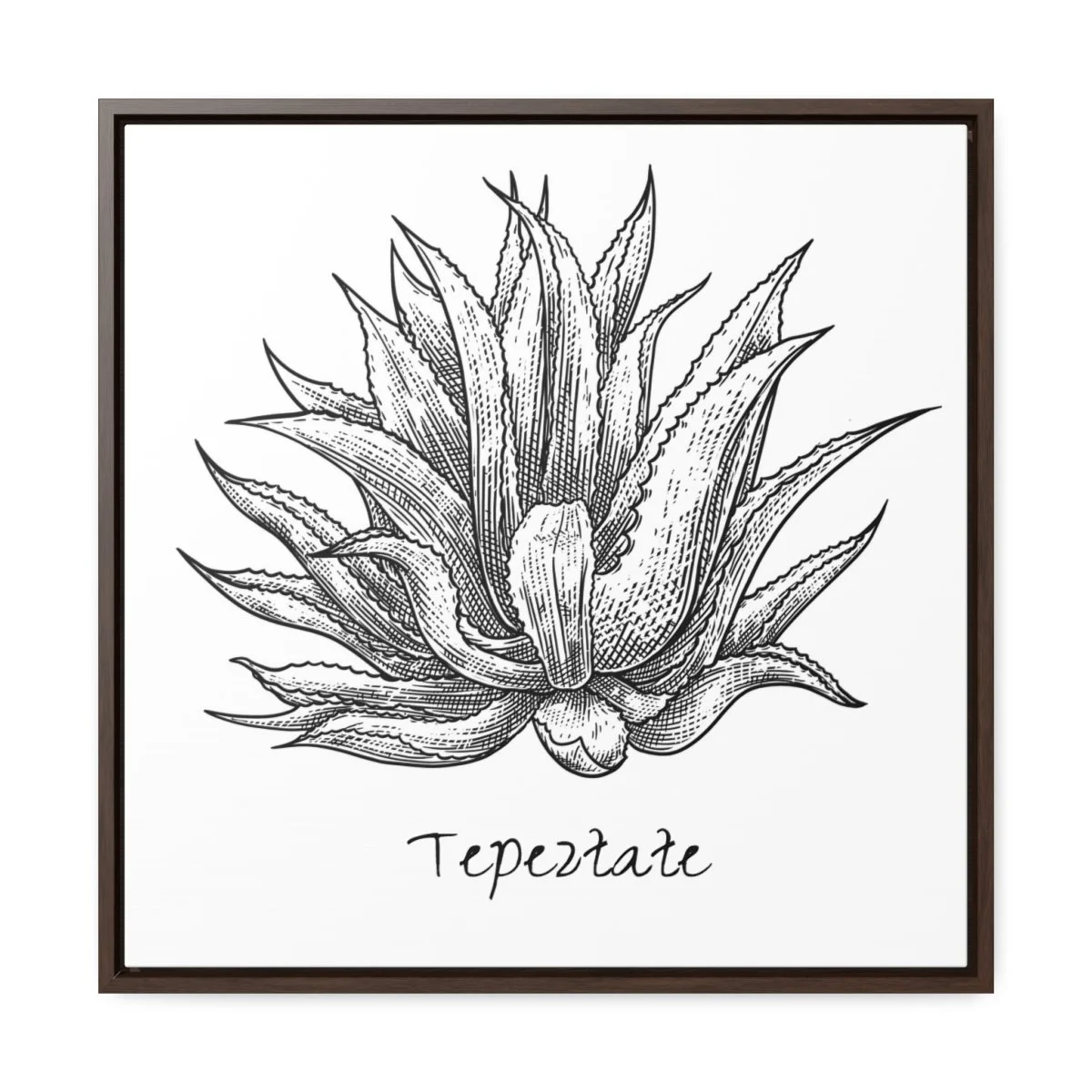 8ba25206772b04cf48784b1a1f27b66d