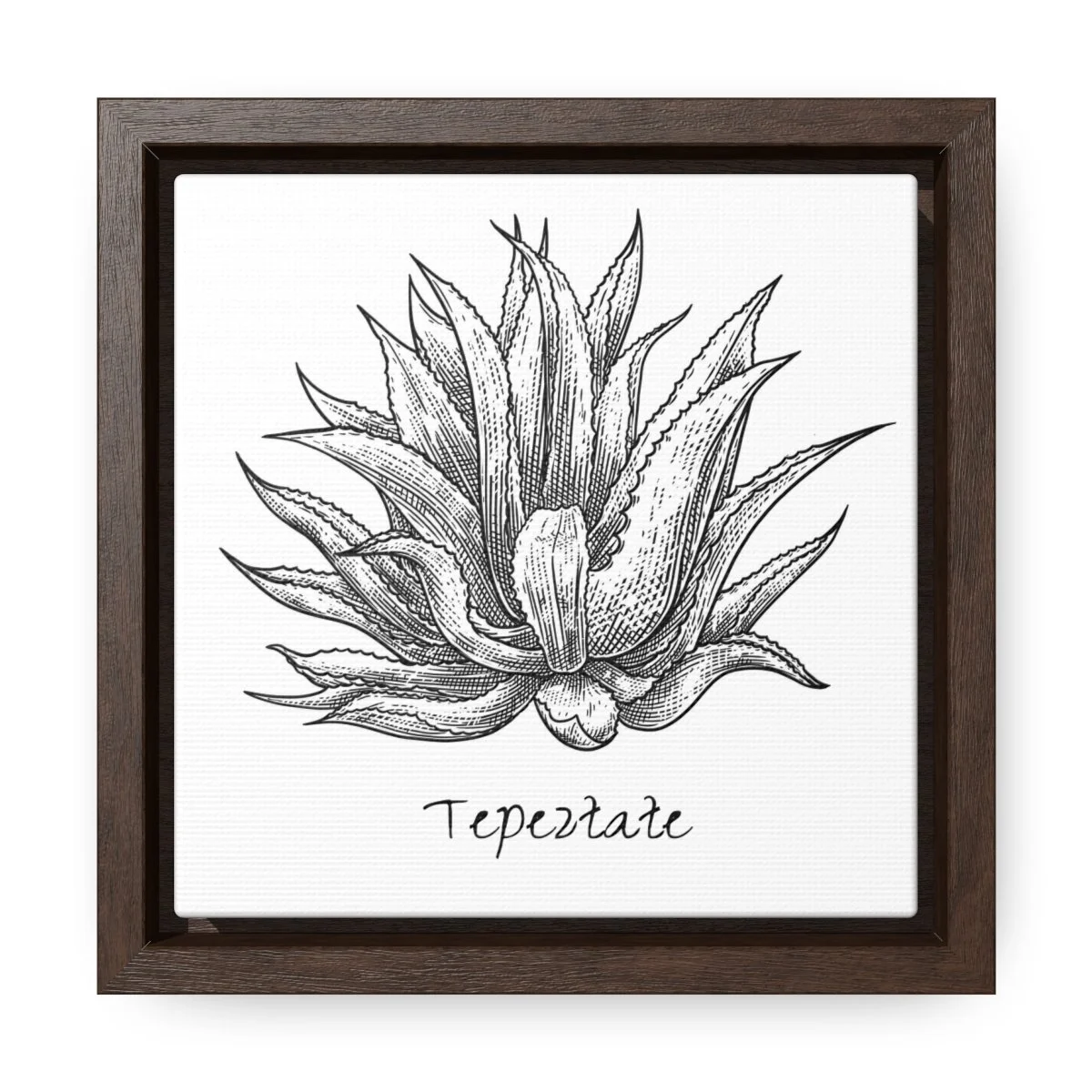 0eed6f765566a4a8c7386348289a2e2d