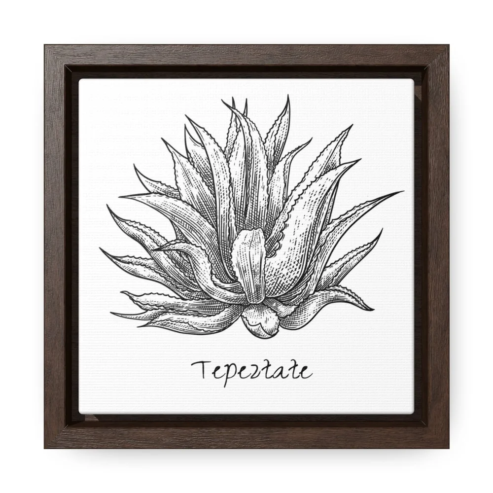 Tepeztate - Framed Gallery Canvas Wrap