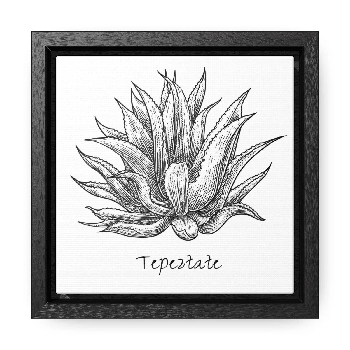 43c52e3918506f9f590ee95de53ef2cd