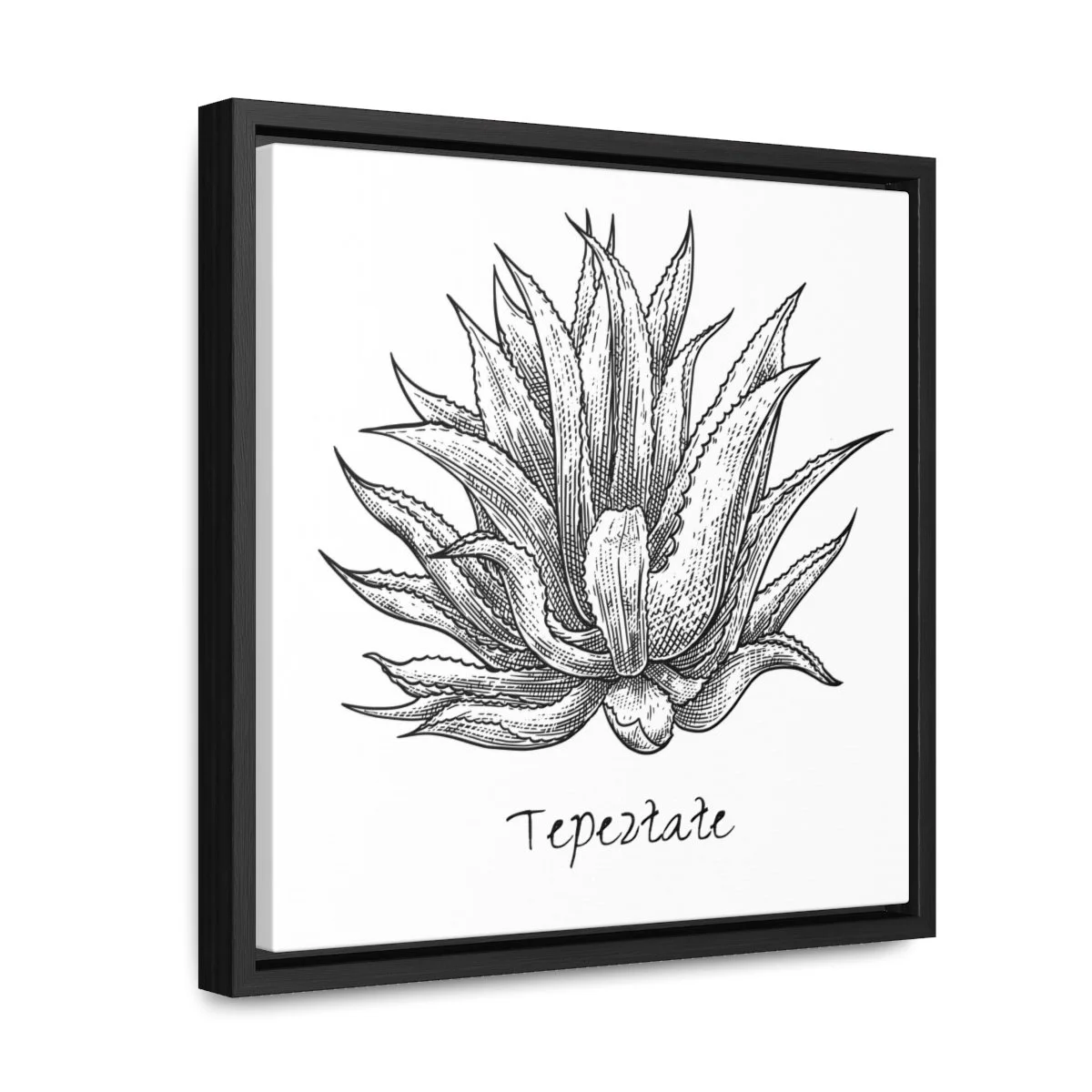 af1c0613a9da3afd8a860a7bee9c35f4