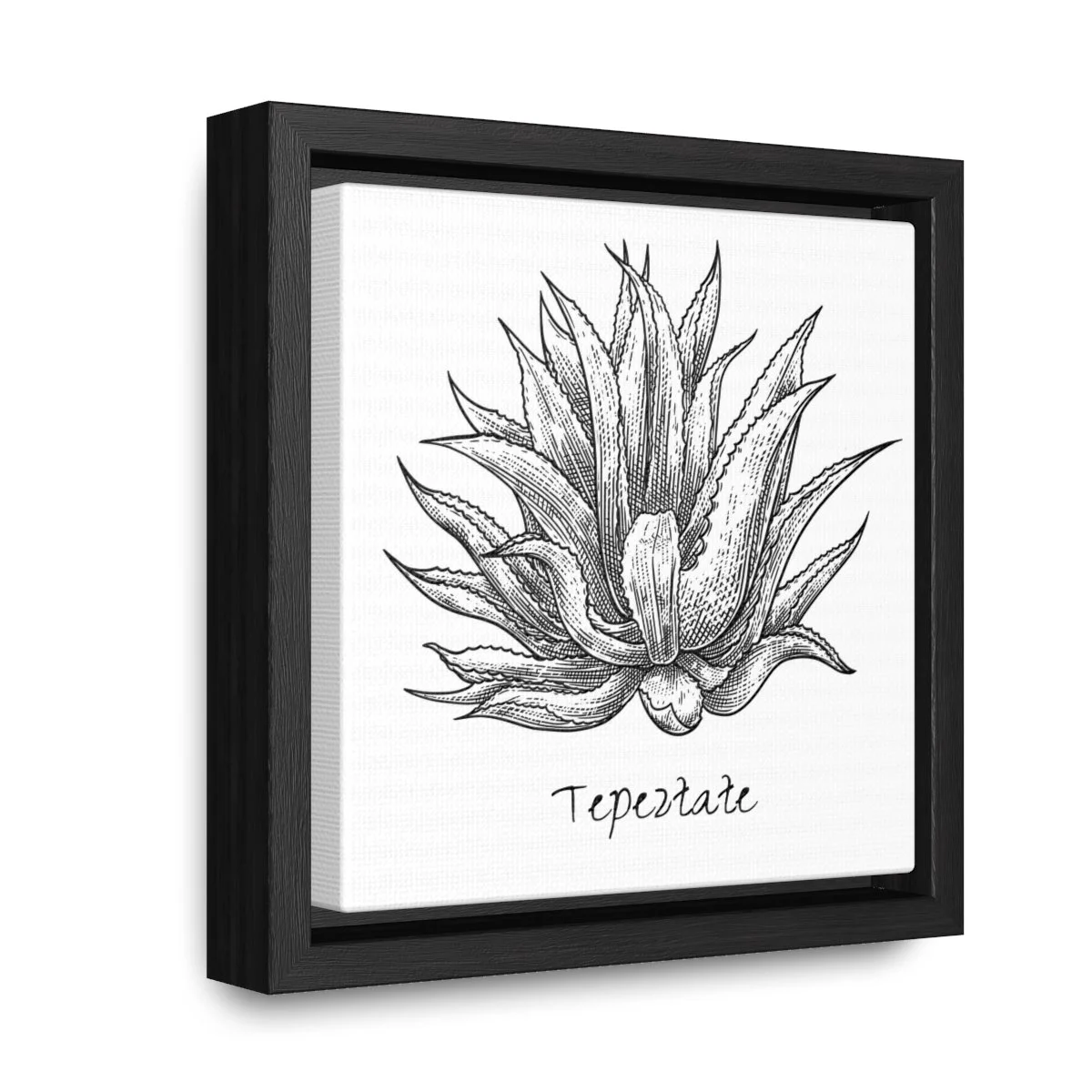 e6340082b4b0321fd07678c685fec9b1