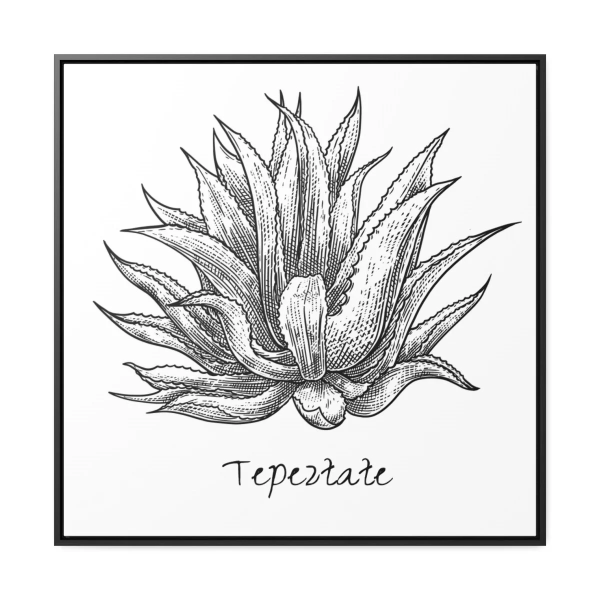 5961b36f244e266339f478edf7a6a730