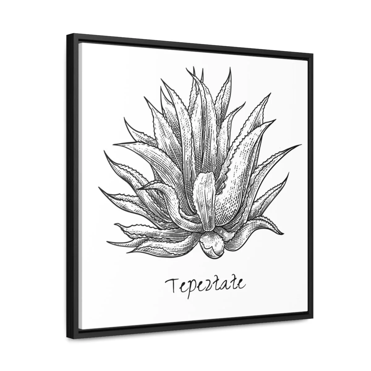 fda328467a34653aa9c1937a643c62a6