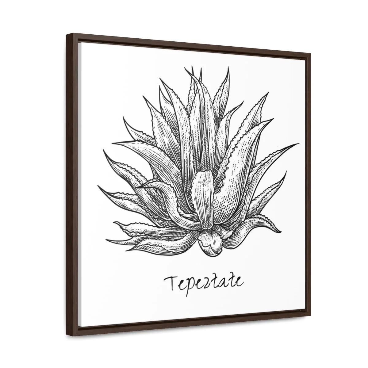 c21166b007361031b72992be1ceccfec