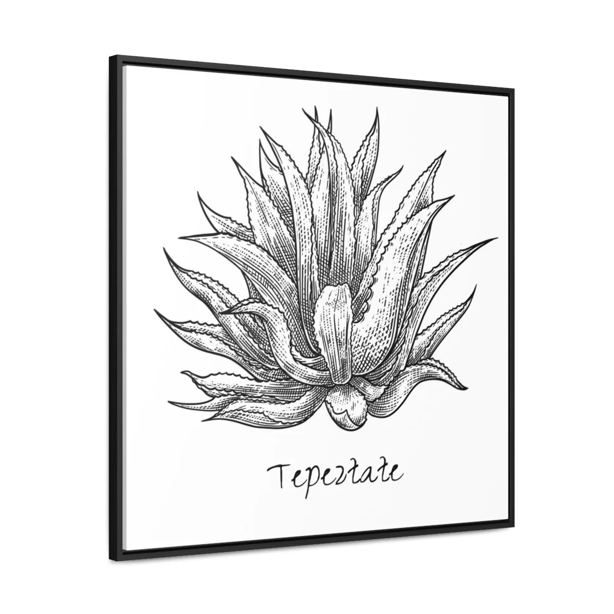 1ef0937197b10449e310222c32c4768d