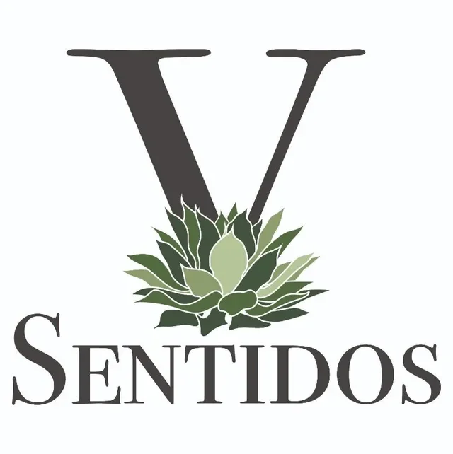 5 Sentidos