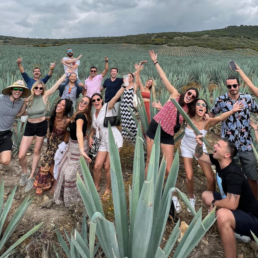 The Mezcal Journey