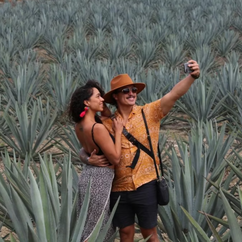 Deluxe Mezcal Tour
