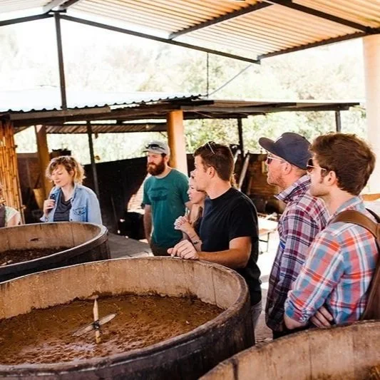 Mezcal Distillery Tour