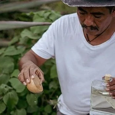 Artisanal Mezcal Experience