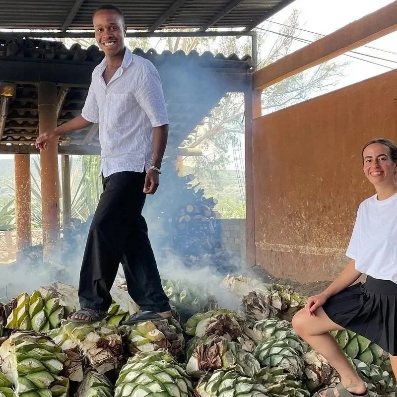 Agave Adventures Mexico