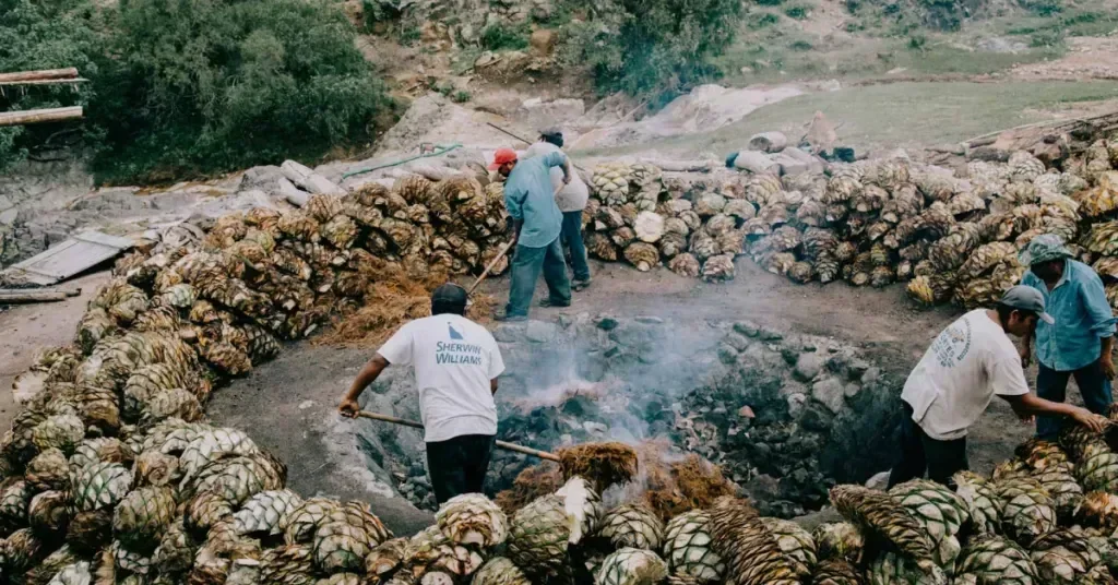mezcal-paulina-figueroa-4-1-1024x536.webp