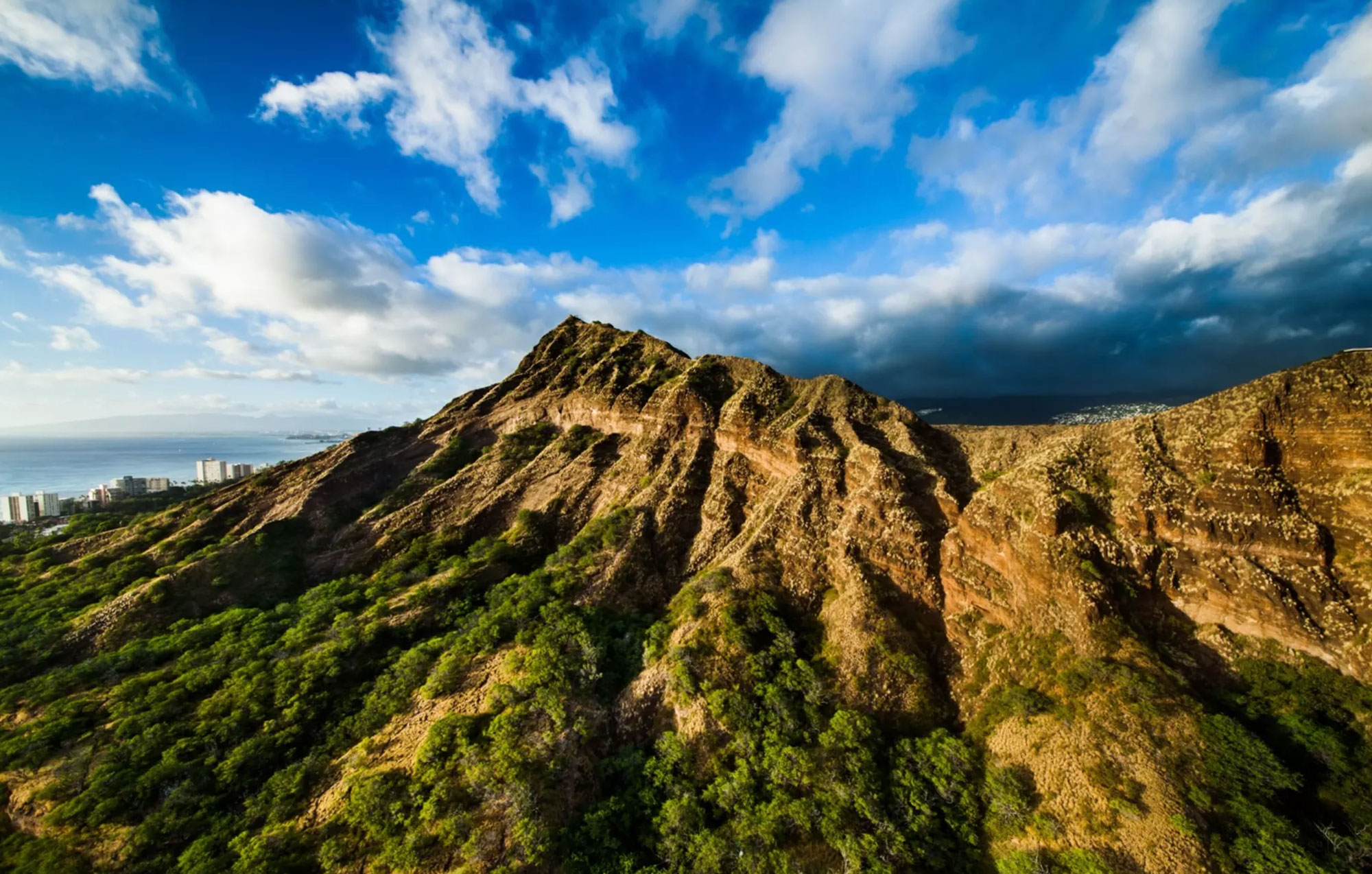 manoa.jpg