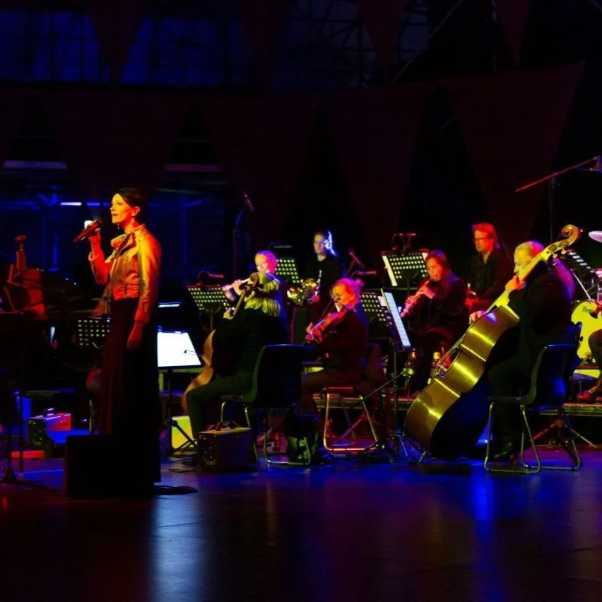 SOMMER KAMMER ORCHESTER