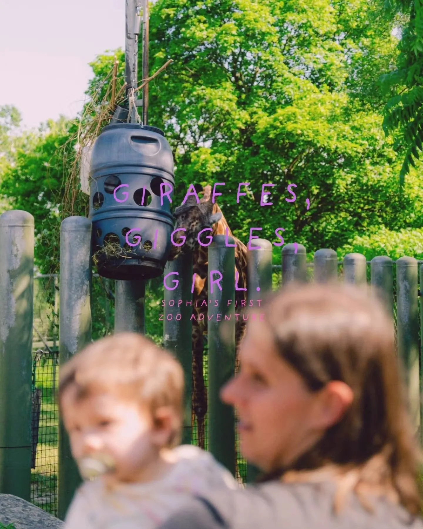 Sophia&rsquo;s first zoo day was pure magic! 🦒🦁
Her little face lit up brighter than the sun as she waved at the giraffes and giggled at the monkeys.
Come to think of it...
she giggles at me and Mama akay maybe just me,
maybe she thinks I'm a monke