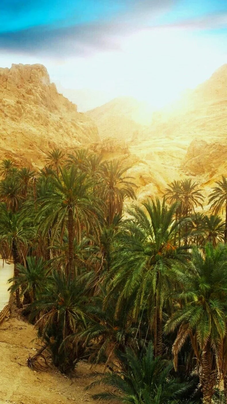 Rim'K - Rachid System (Clip Officiel)