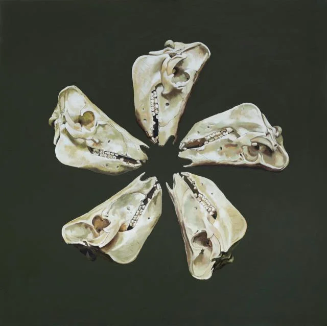 This Little Piggy , Oil on canvas, 76 x 76 cm