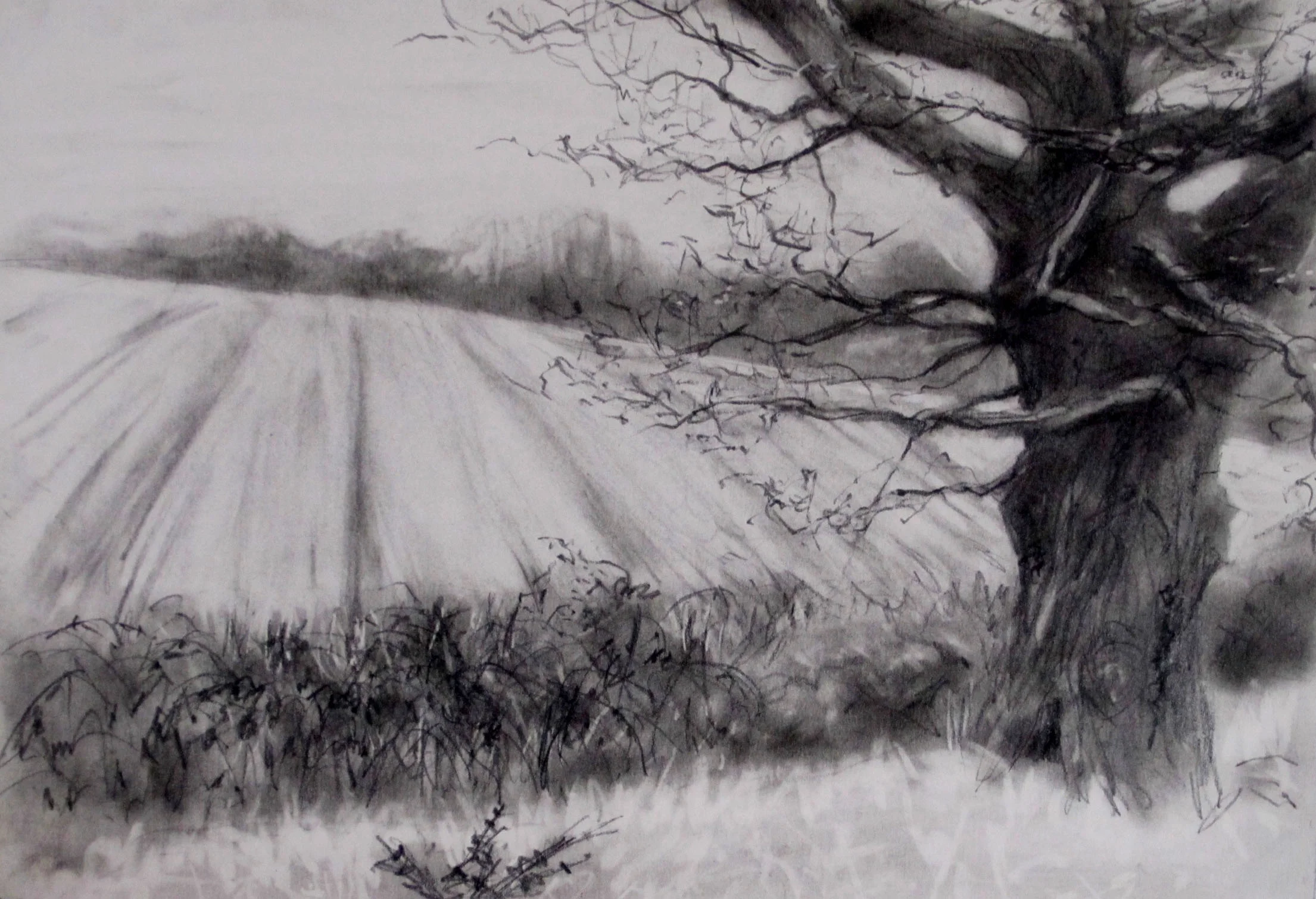 View over the Ditch , Graphite on paper, 22 x 15 cm