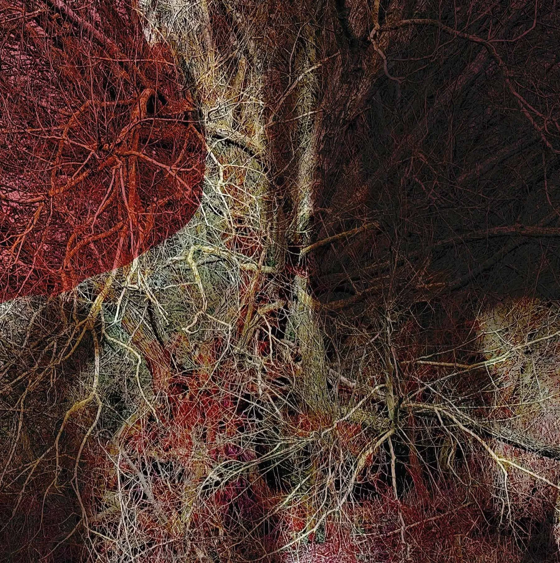 Lisa Mary Stevens