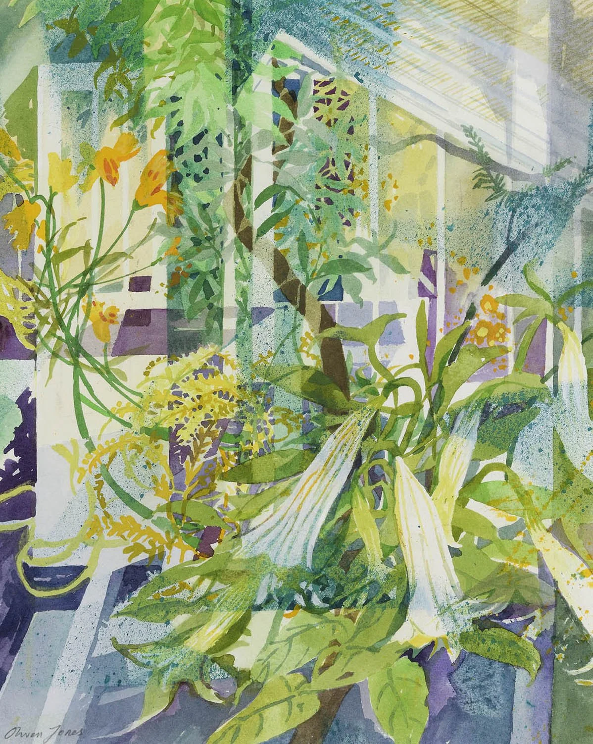Olwen Jones
