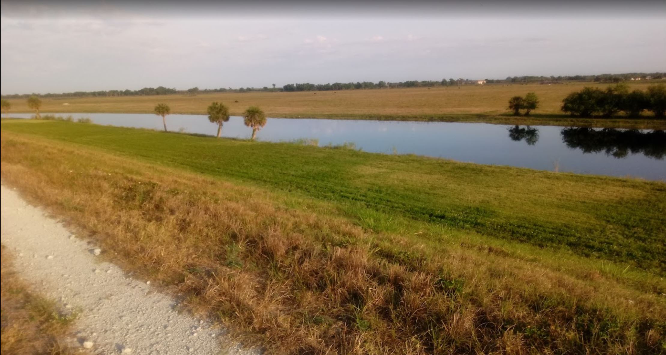 grass and canal.JPG