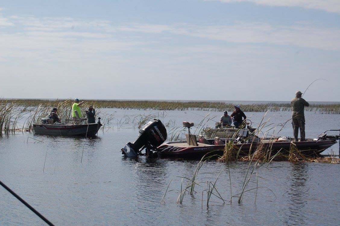 fishing boats.jpg