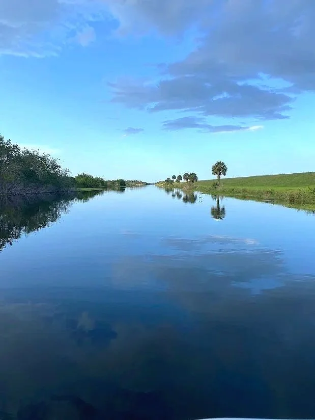 A calm river reflecting the blue sky and clouds, with some trees and a palm tree on the grassy bank.