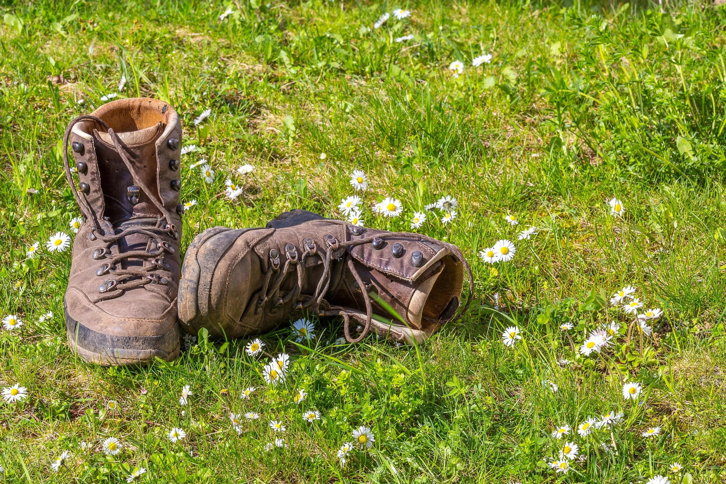 wanderschuhe.jpg