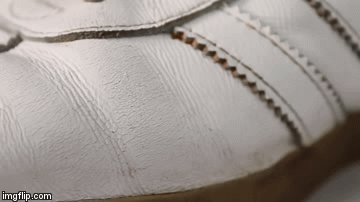 2vxgjj.gif