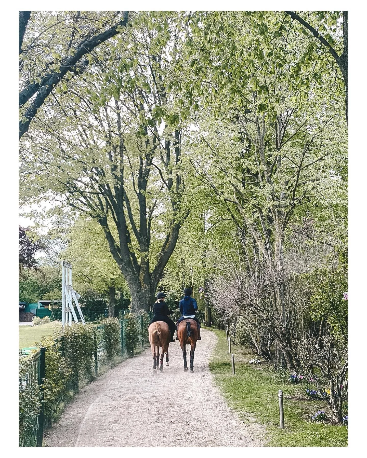 It was Ana&iuml;s Nin who said: &ldquo;Each friend represents a world in us, a world not born until they arrive, and it is only by this meeting that a new world is born.&rdquo;

I started riding almost five years ago, and I&rsquo;ve met people I woul