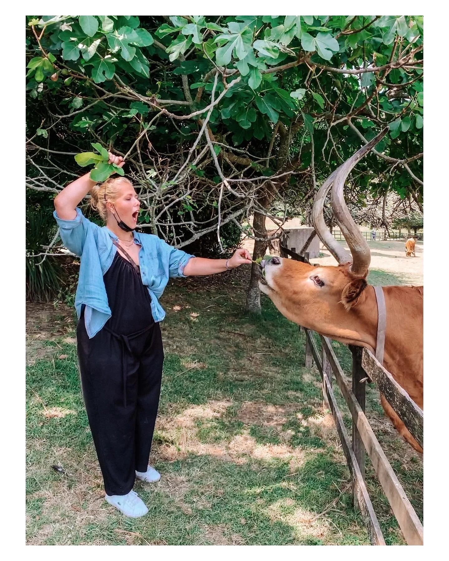 Say &ldquo;aaaaaah&rdquo;! I may just stay here and become a cow tamer at the @fundacao_serralves 😎🐮🇵🇹 
.
#porto #portugal #Serralves 
.
.
.
.
.
.
.
#breastcancer #breastcancerawareness #cancer #breastcancersurvivor #cancersucks #cancersurvivor #