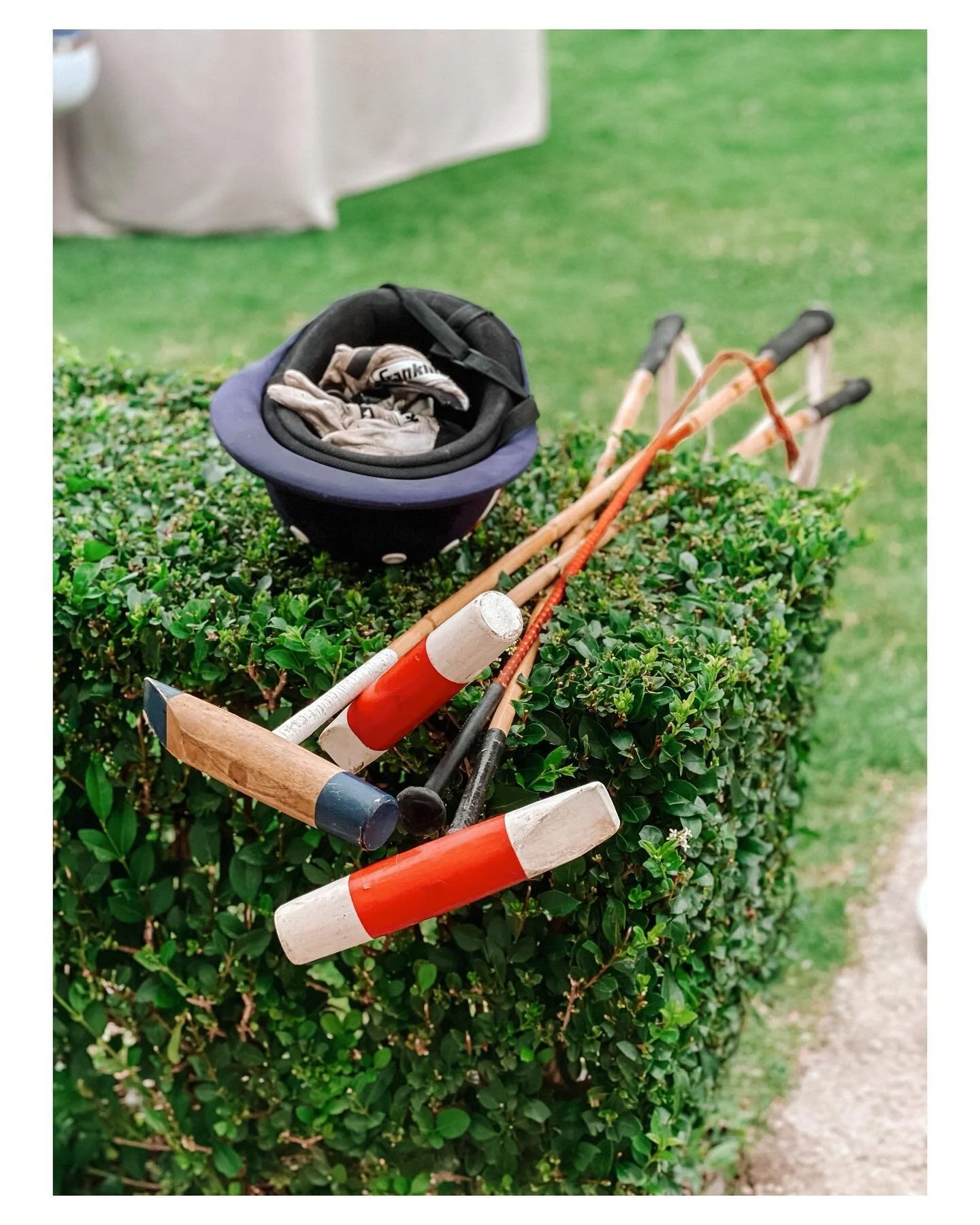 There&rsquo;s nothing quite like spending the afternoon sipping wine (ok, Coke Zero for me, red wine for @dany.say ) and watching ponies chase a ball across a the field 🐎🍃🏑 (no specific polo emoji available, hear that, Angela Guzman @misslittlepix