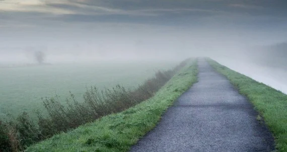 Pathways to healing, pt 2: Curiosity