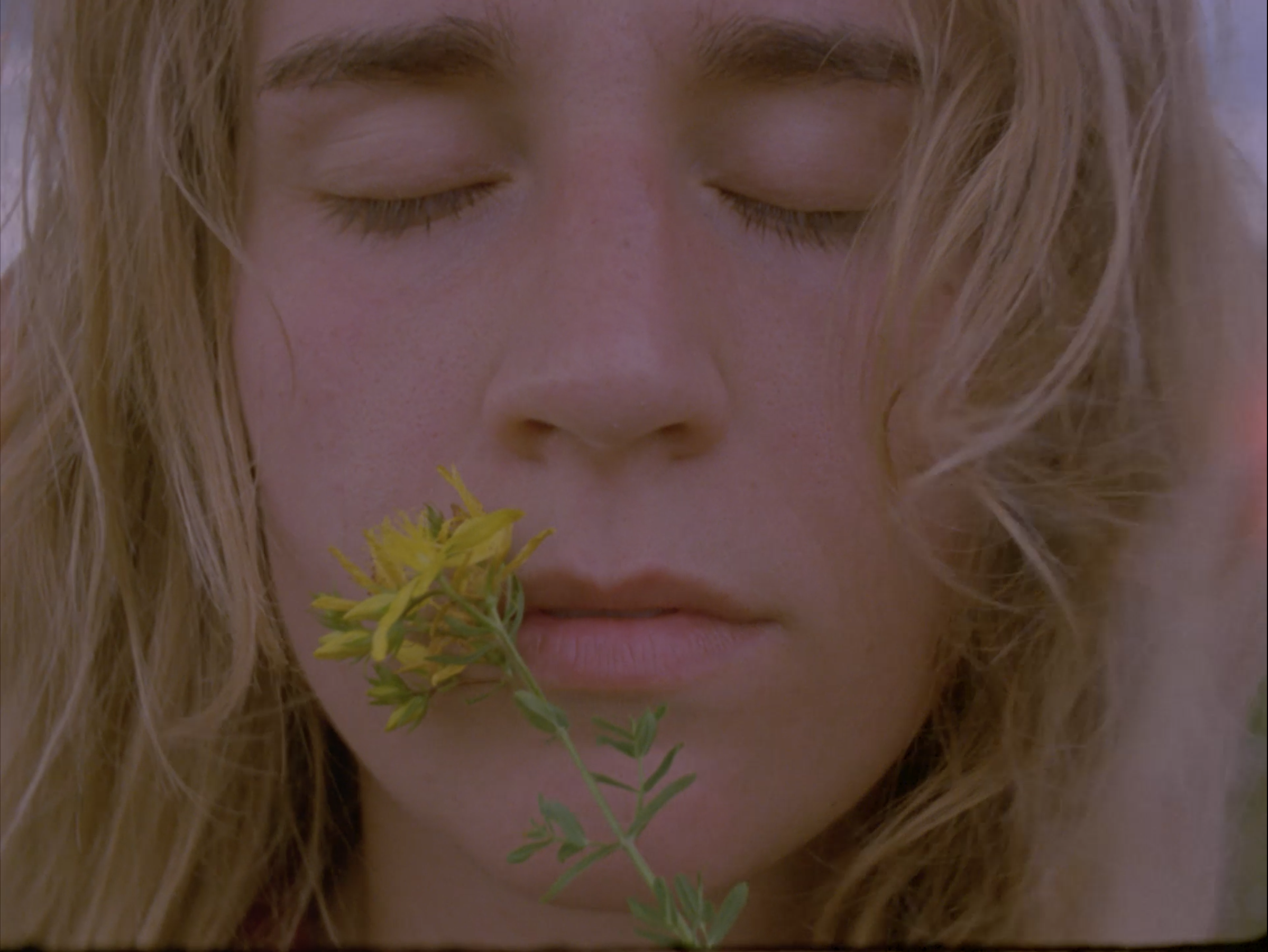 'WILD'