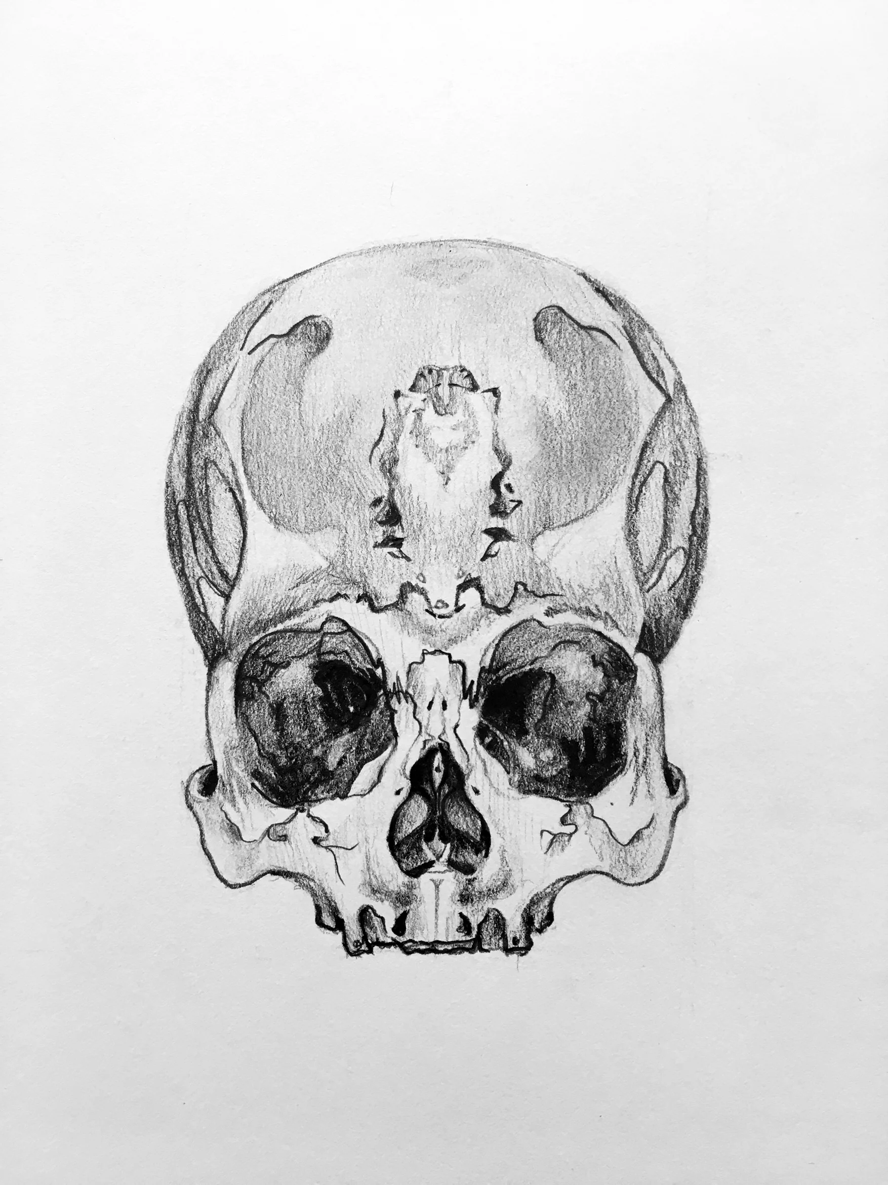 skull_27623993708_o.jpg