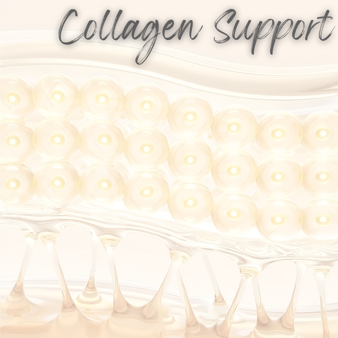 What Is The Best Collagen To Take?