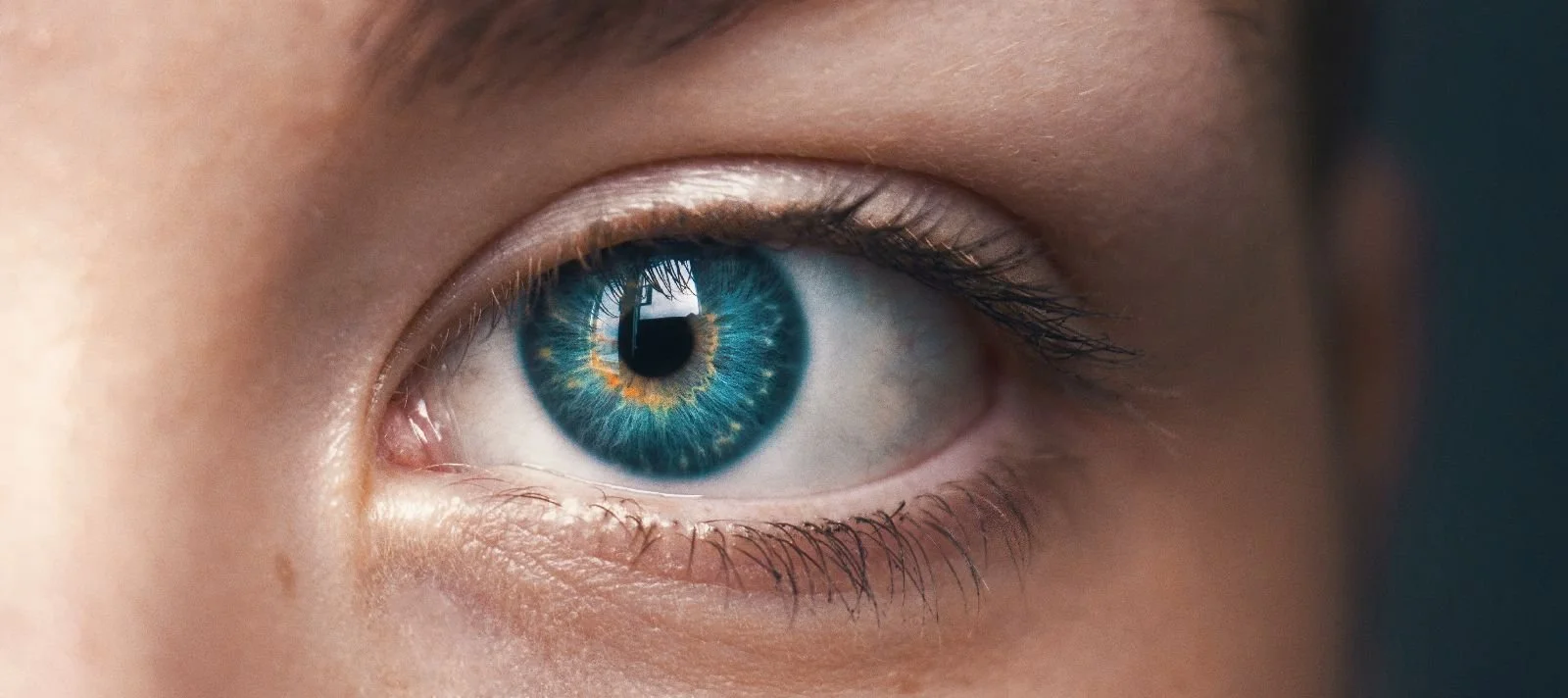 Die Augen – das Frühwarnsystem unseres Körpers