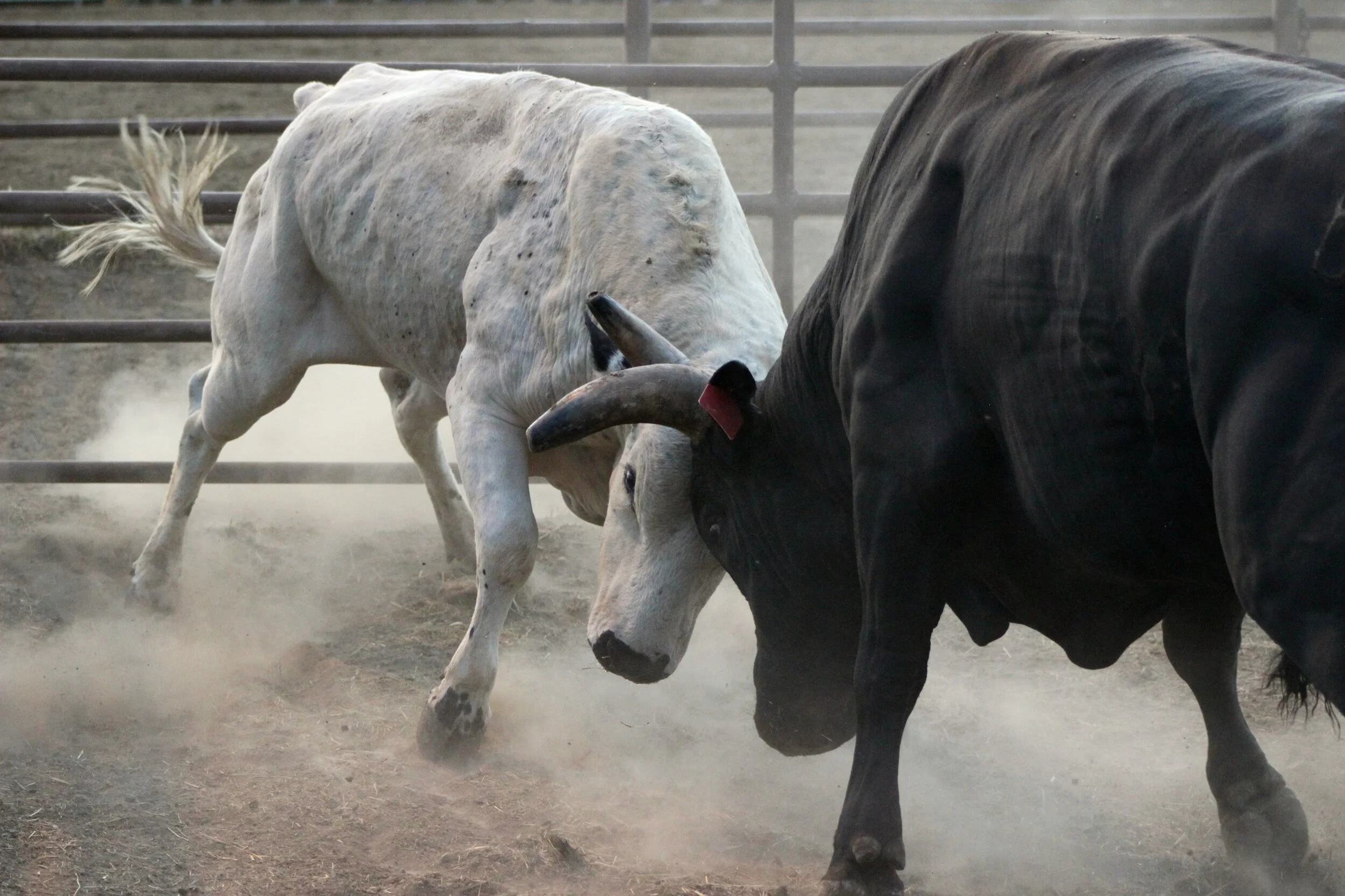 Crypto meets SPAC. Bullish? 