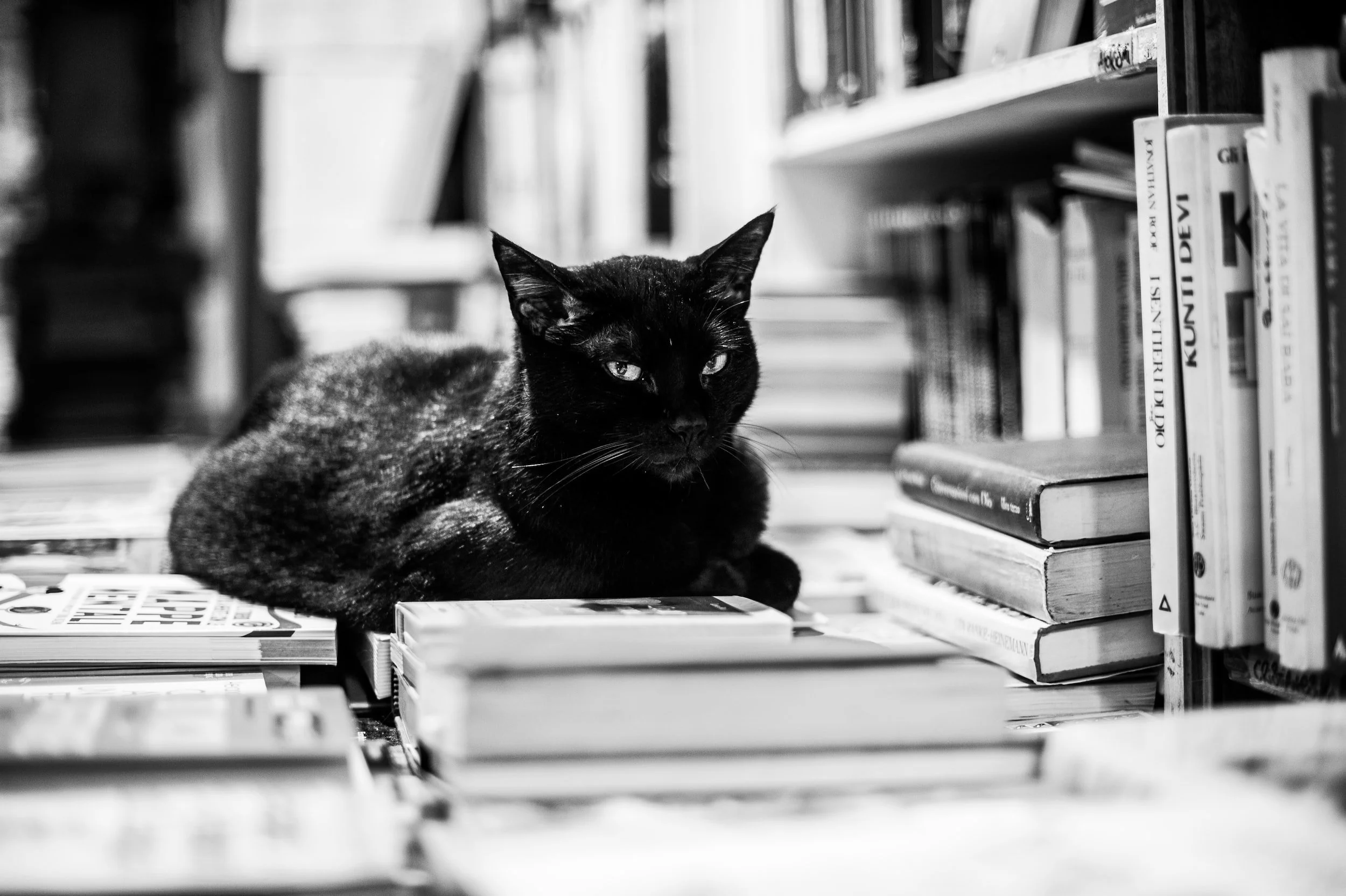 Weekend Reading #203
