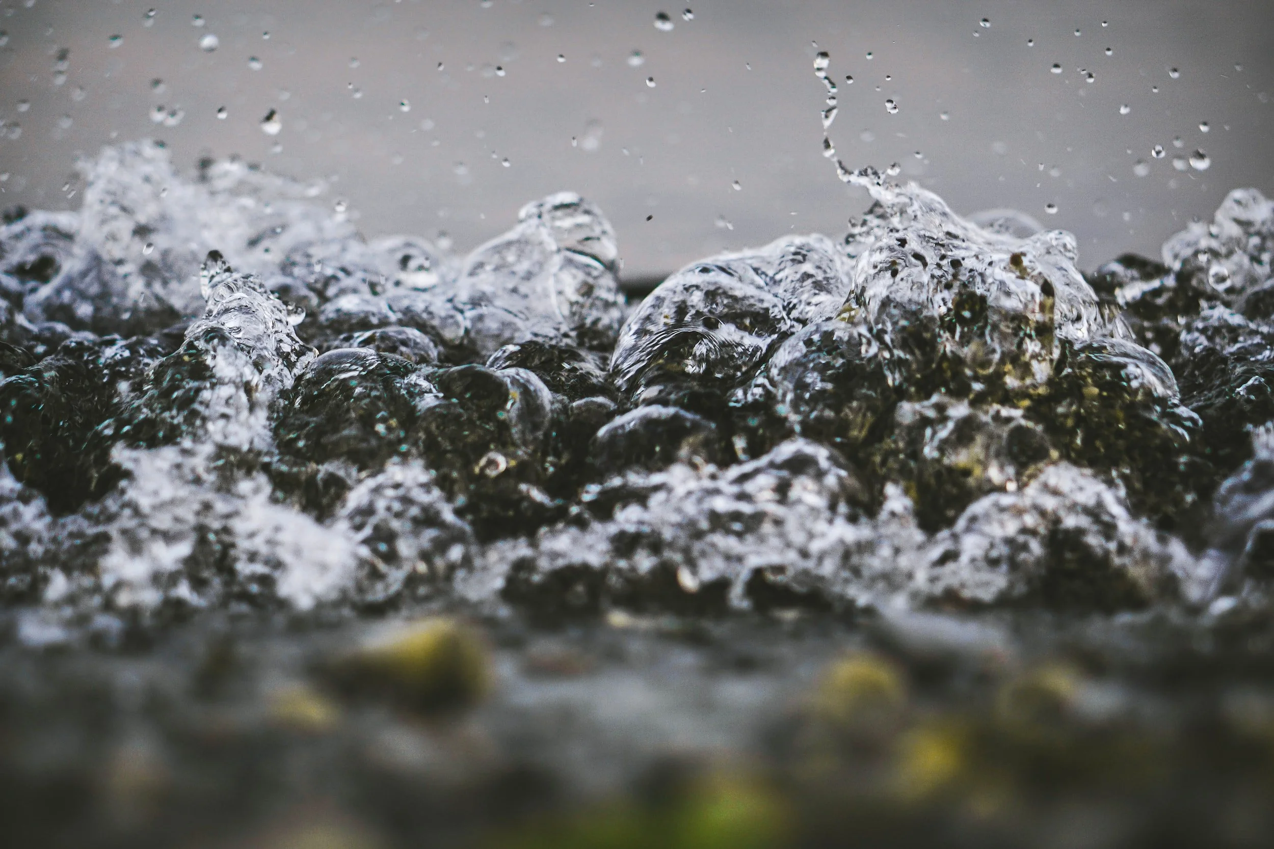 Artificial Intelligence: Are we bubbly yet?