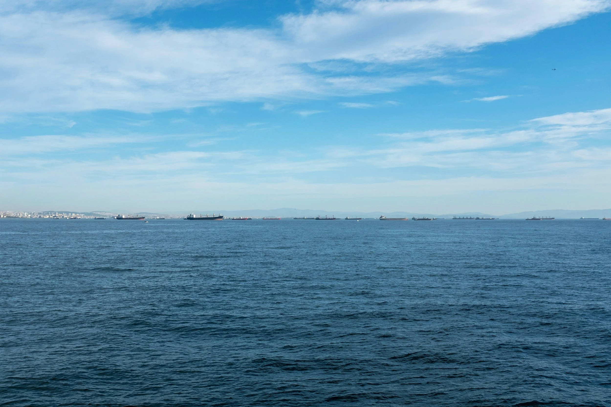 Weekend Reading #355