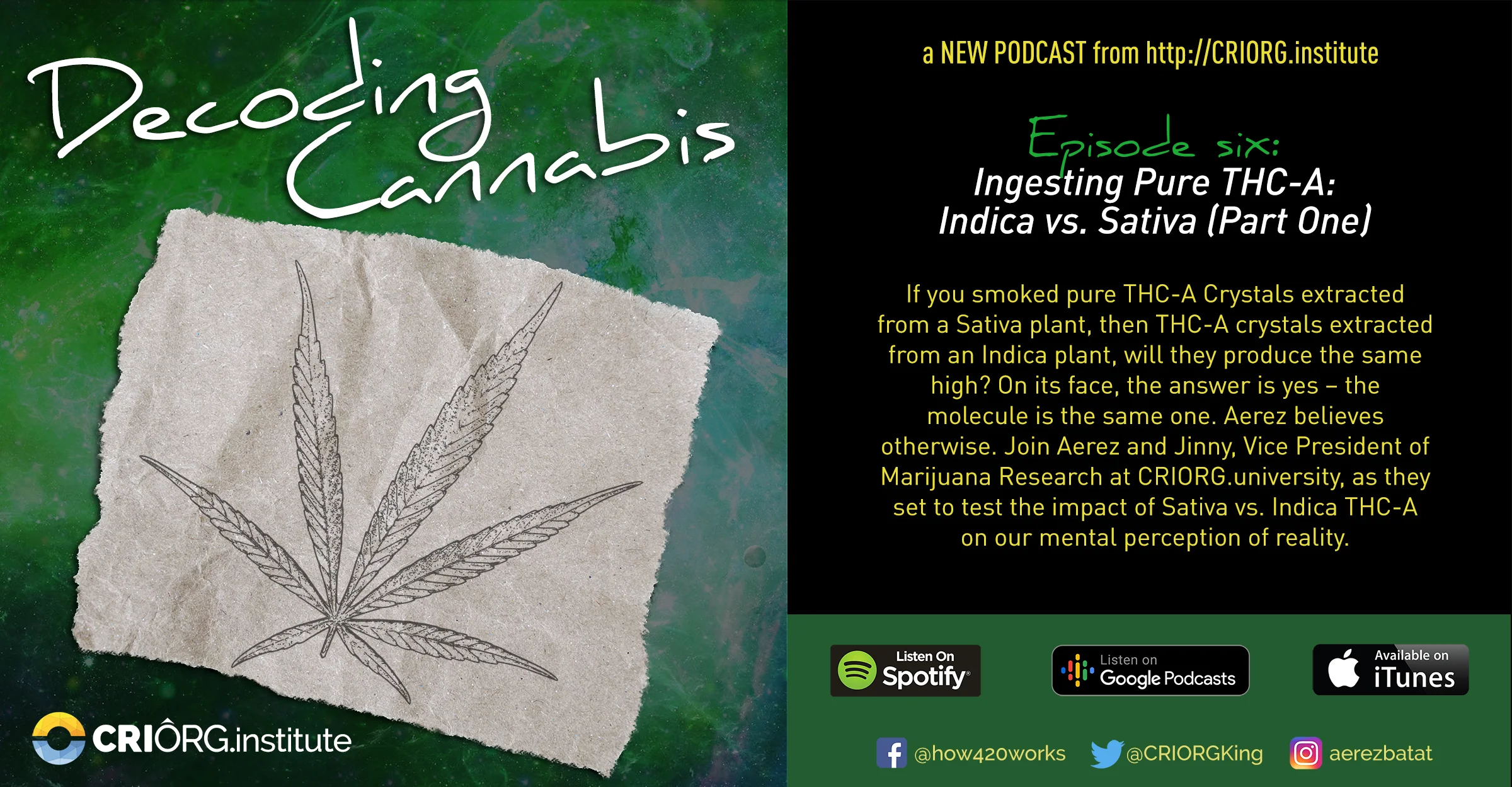 Cannabis Decoded FB Banner and Post Episode six.jpg