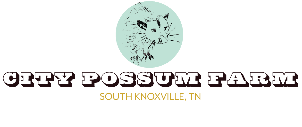 City Possum Farm